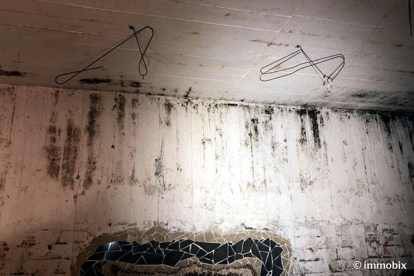 Baugutachten Feuchteschaden – Feuchte und Ausblühungen an einer Kellerwand, Niedersachsen