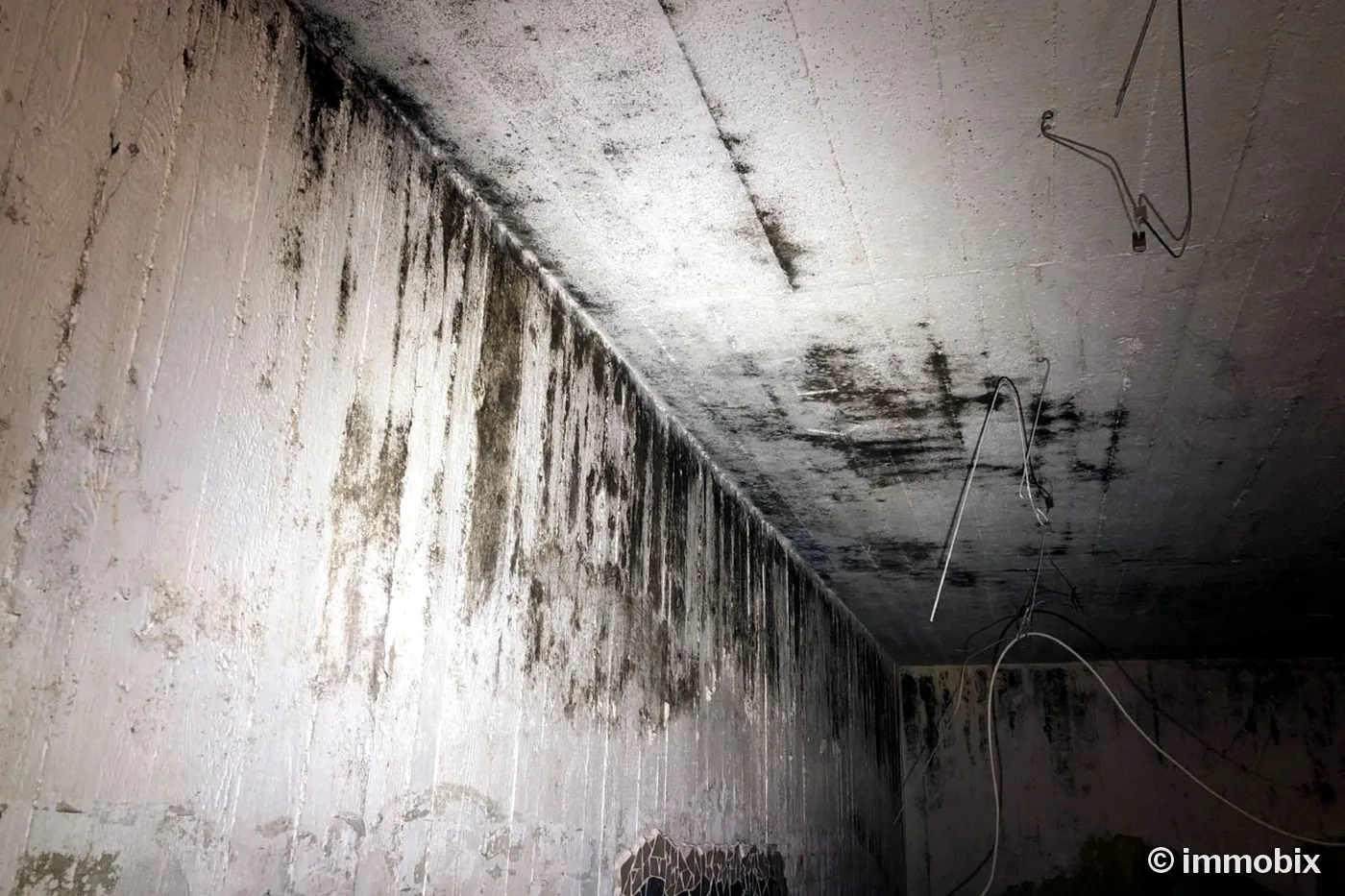 Schimmel im Keller – dunkle Feuchteflecken an der Kellerwand, Sachverständiger Hannover