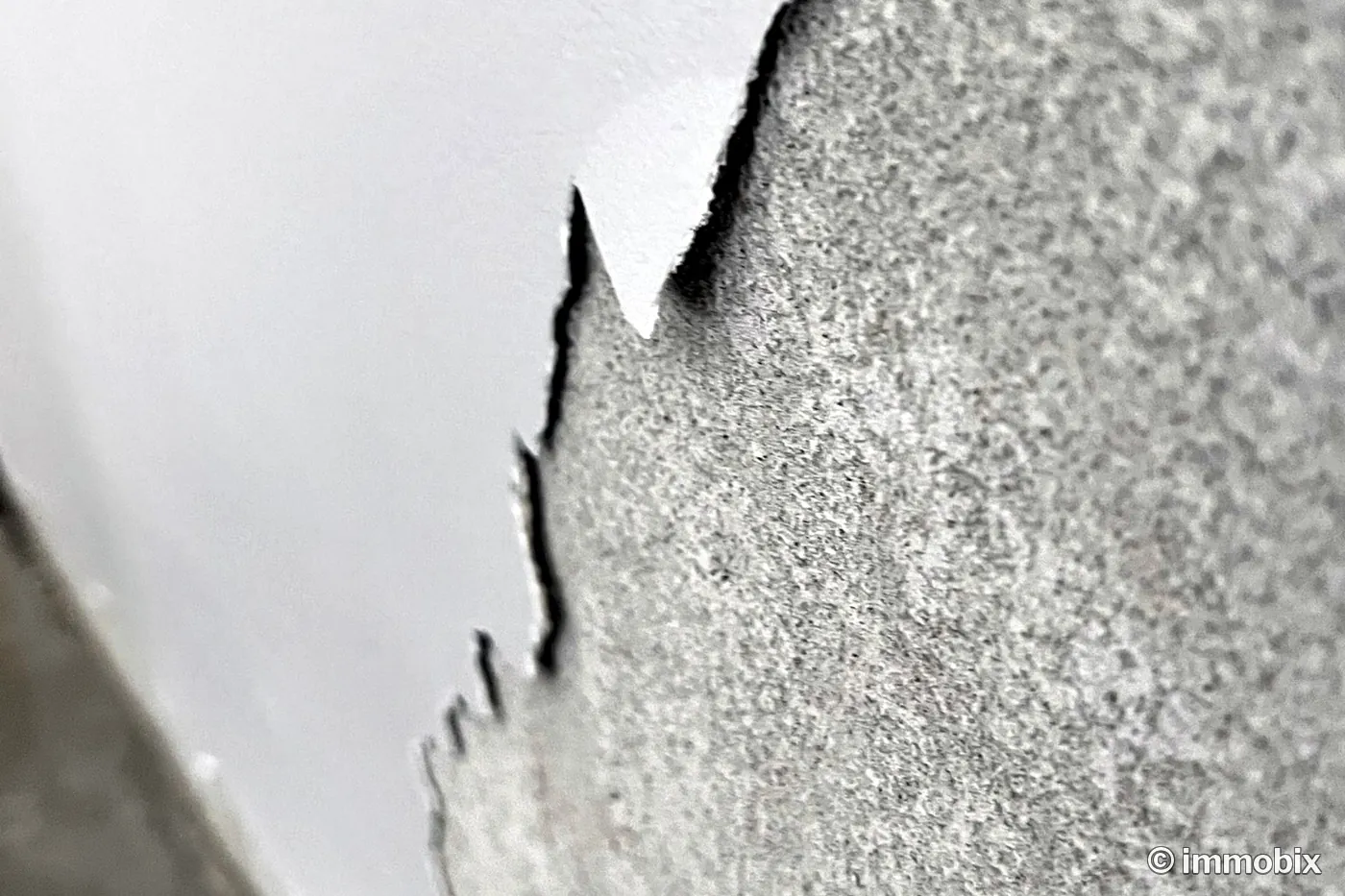 Sich ablösende Wandbeschichtung – abplatzende Farbe und Beschichtung an der Innenwand, Baugutachten Hannover
