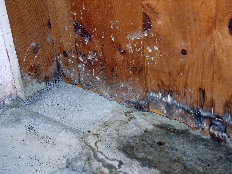 Wasserschaden Niedersachsen